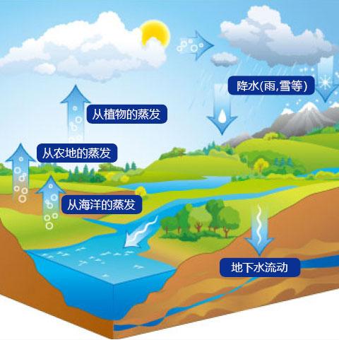 雨水收集系統(tǒng)實(shí)現(xiàn)雨水資源的使用-海綿雨水收集