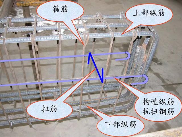 根據(jù)在結(jié)構(gòu)中的作用，鋼筋有哪些分類？