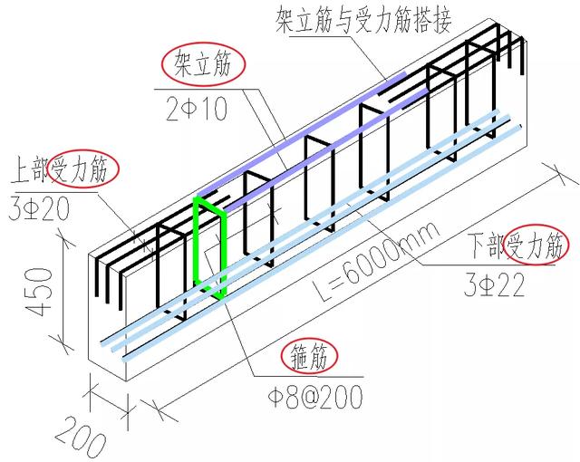 根據(jù)在結(jié)構(gòu)中的作用，鋼筋有哪些分類？
