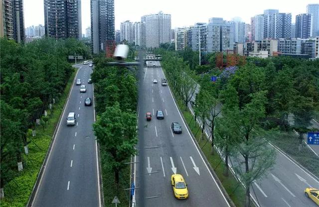 【道路建?！康缆肪G化帶設計