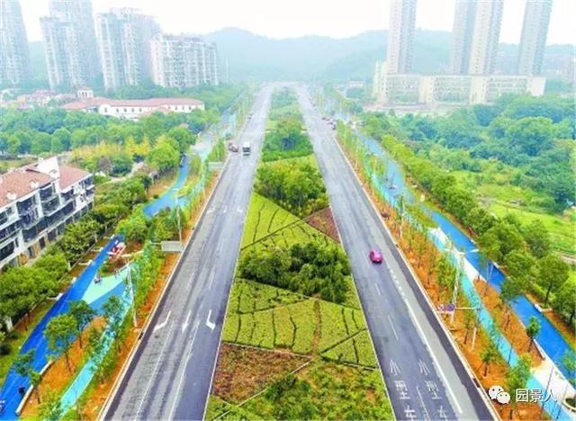 【道路建模】道路綠化帶設計