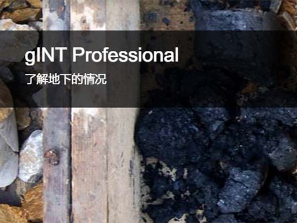 gINT 地下數(shù)據(jù)管理和報(bào)告軟件